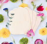 Antibacterial Organic Towels- NEW