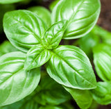 Essential Oils, Organic-For body, mind & spirit