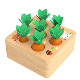 Wooden Carrot Harvest Toy