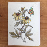 Handpainted Plantable Cards: Butterfly and Shells