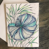 Handpainted Plantable Cards: Butterfly and Shells