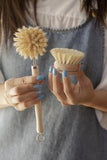 Dish Scrub Brush