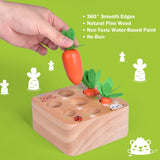 Wooden Carrot Harvest Toy