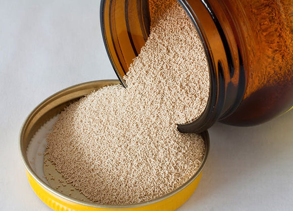 Organic Active Dry Yeast