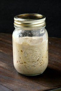 Sourdough Starter w/ feeding instructions and recipes!